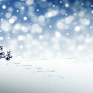 Rendez-vous en 2026 !